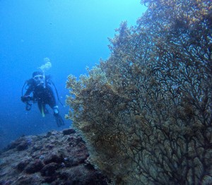 DCIM100GOPROGOPR3394.JPG