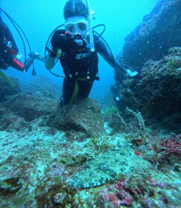 DCIM100GOPROGOPR3398.JPG