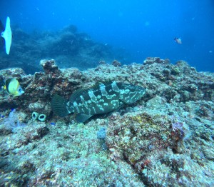 DCIM100GOPROGOPR3400.JPG