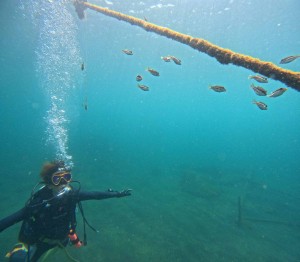 DCIM100GOPROGOPR3407.JPG