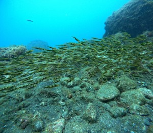 DCIM100GOPROGOPR3409.JPG
