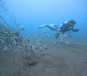 DCIM100GOPROGOPR3412.JPG