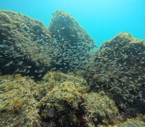 DCIM100GOPROGOPR3425.JPG