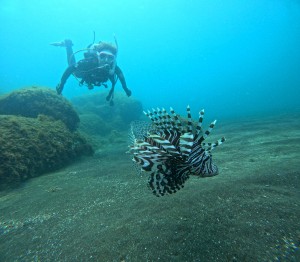 DCIM100GOPROGOPR3431.JPG