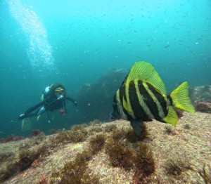 DCIM100GOPROGOPR3446.JPG