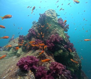 DCIM100GOPROGOPR3449.JPG