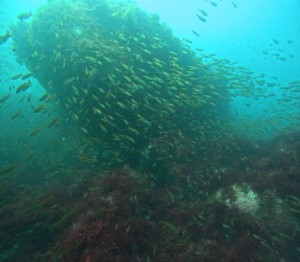 DCIM100GOPROGOPR3456.JPG