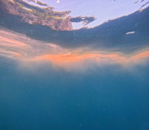 DCIM100GOPROGOPR3494.JPG