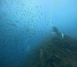 DCIM100GOPROGOPR5752.JPG