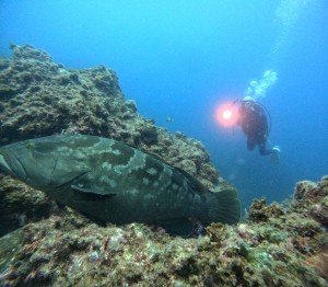 DCIM100GOPROGOPR5767.JPG