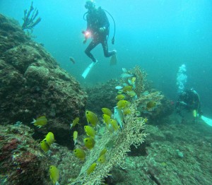 DCIM100GOPROGOPR5783.JPG