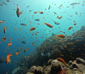 DCIM100GOPROGOPR5792.JPG