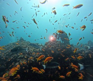 DCIM100GOPROGOPR5793.JPG