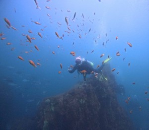 DCIM100GOPROGOPR5973.JPG
