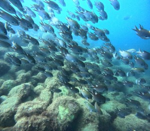 DCIM100GOPROGOPR6246.JPG