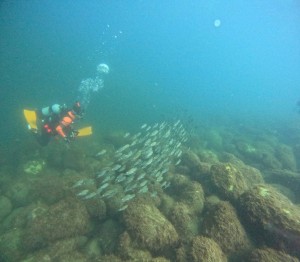 DCIM100GOPROGOPR6249.JPG