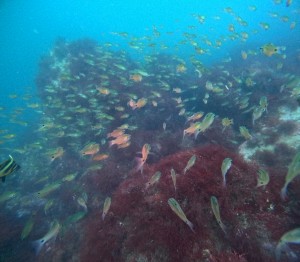 DCIM100GOPROGOPR6262.JPG
