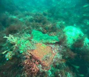 DCIM100GOPROGOPR6264.JPG