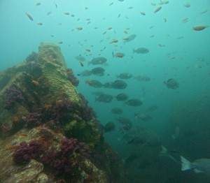 DCIM100GOPROGOPR6327.JPG