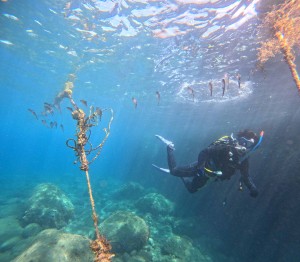 DCIM100GOPROGOPR7566.JPG