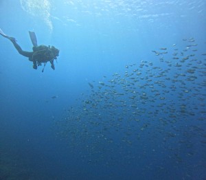 DCIM100GOPROGOPR7613.JPG
