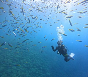 DCIM100GOPROGOPR7618.JPG