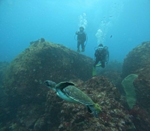 DCIM100GOPROGOPR7632.JPG