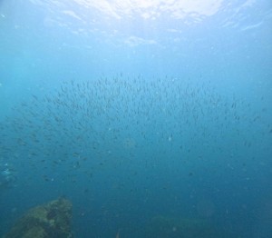 DCIM100GOPROGOPR7644.JPG