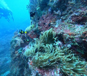 DCIM100GOPROGOPR7648.JPG
