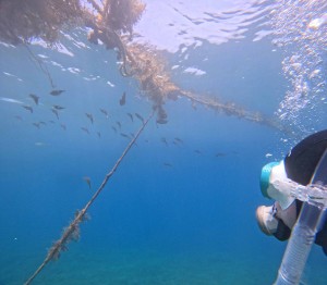 DCIM100GOPROGOPR7656.JPG