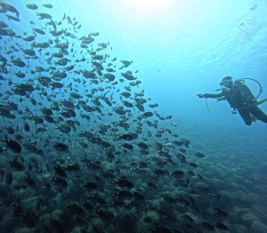 DCIM100GOPROGOPR7665.JPG