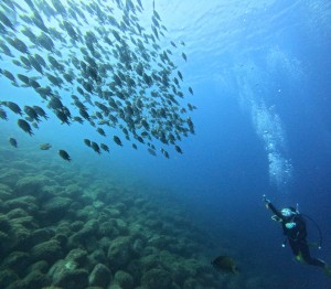 DCIM100GOPROGOPR7671.JPG