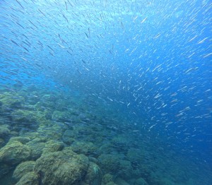 DCIM100GOPROGOPR7692.JPG