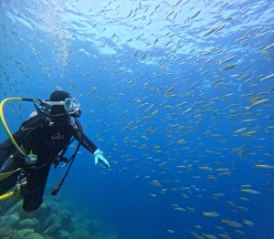 DCIM100GOPROGOPR7698.JPG