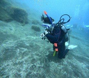 DCIM100GOPROGOPR7798.JPG