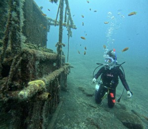 DCIM100GOPROGOPR7834.JPG