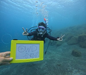 DCIM100GOPROGOPR7844.JPG