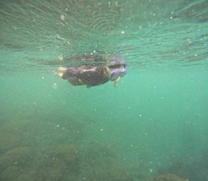 DCIM100GOPROGOPR7852.JPG