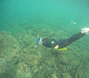 DCIM100GOPROGOPR7854.JPG