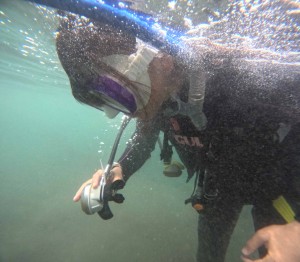 DCIM100GOPROGOPR7860.JPG