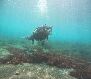 DCIM100GOPROGOPR7882.JPG