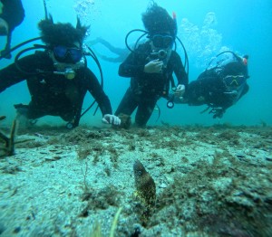 DCIM100GOPROGOPR7934.JPG