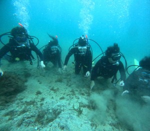 DCIM100GOPROGOPR7935.JPG