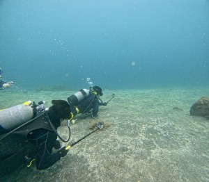 DCIM100GOPROGOPR7963.JPG