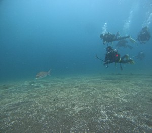 DCIM100GOPROGOPR7979.JPG