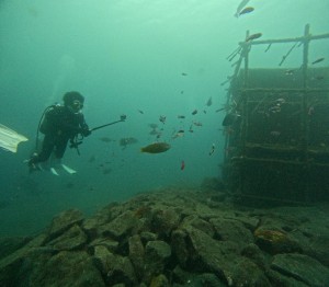 DCIM100GOPROGOPR7989.JPG