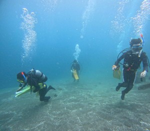 DCIM100GOPROGOPR8004.JPG