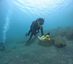 DCIM100GOPROGOPR8007.JPG