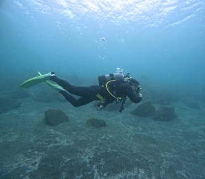 DCIM100GOPROGOPR8010.JPG