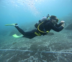 DCIM100GOPROGOPR8012.JPG